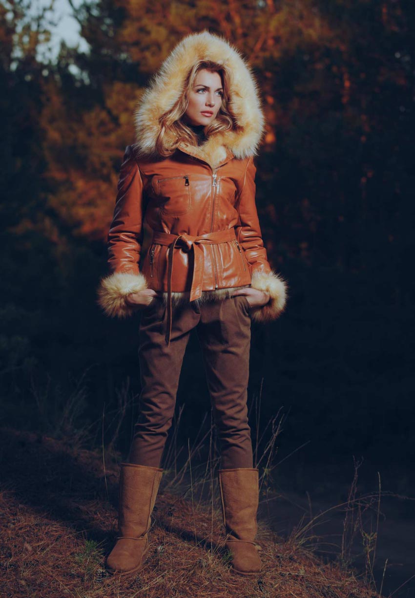 Vivamus non vehicula quam